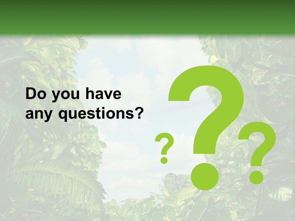 Answer Jungle Brain PowerPoint Template