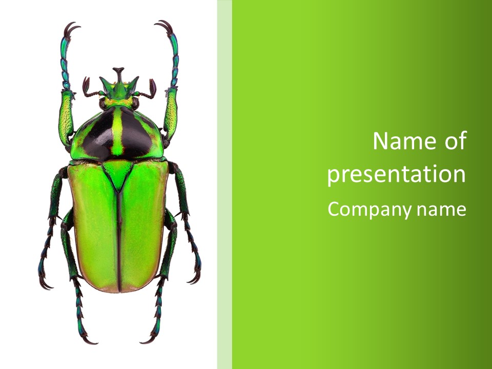 Wildlife Collection Green PowerPoint Template