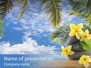 Harmony Exotic Relax PowerPoint Template