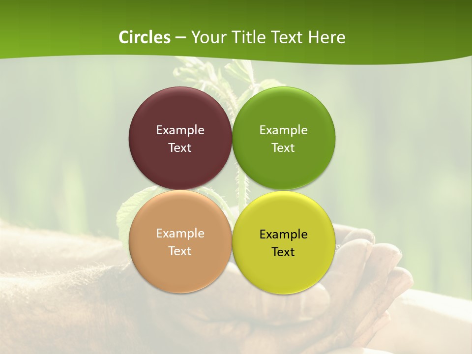 Spring Close Up Blur PowerPoint Template