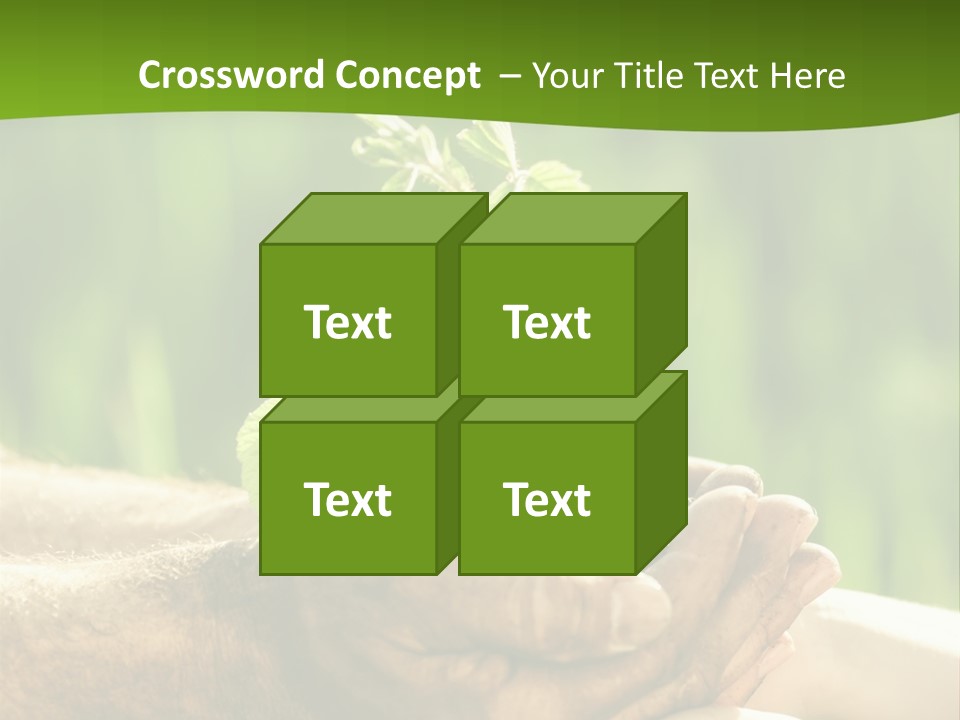 Spring Close Up Blur PowerPoint Template