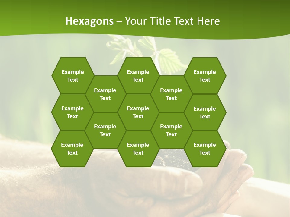 Spring Close Up Blur PowerPoint Template