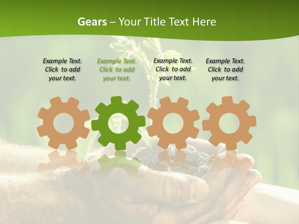 Spring Close Up Blur PowerPoint Template