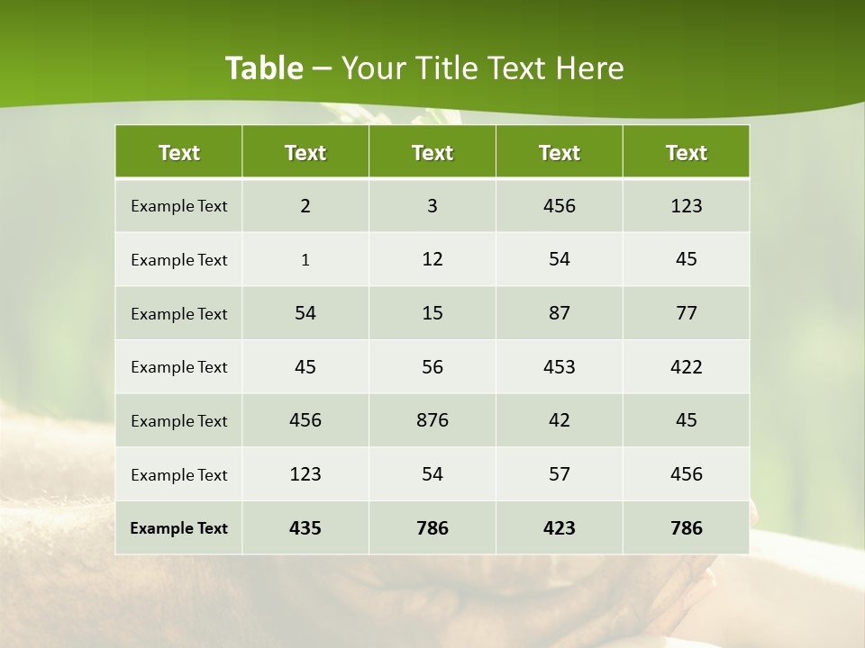Spring Close Up Blur PowerPoint Template