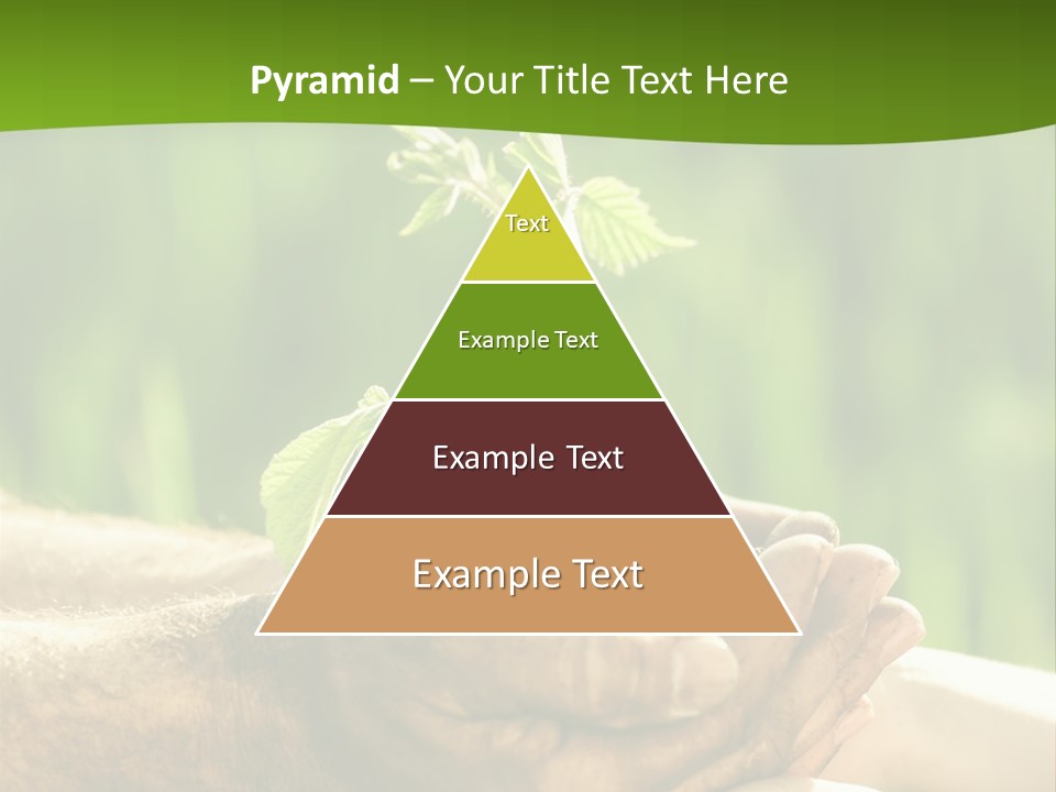 Spring Close Up Blur PowerPoint Template