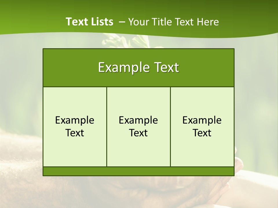 Spring Close Up Blur PowerPoint Template