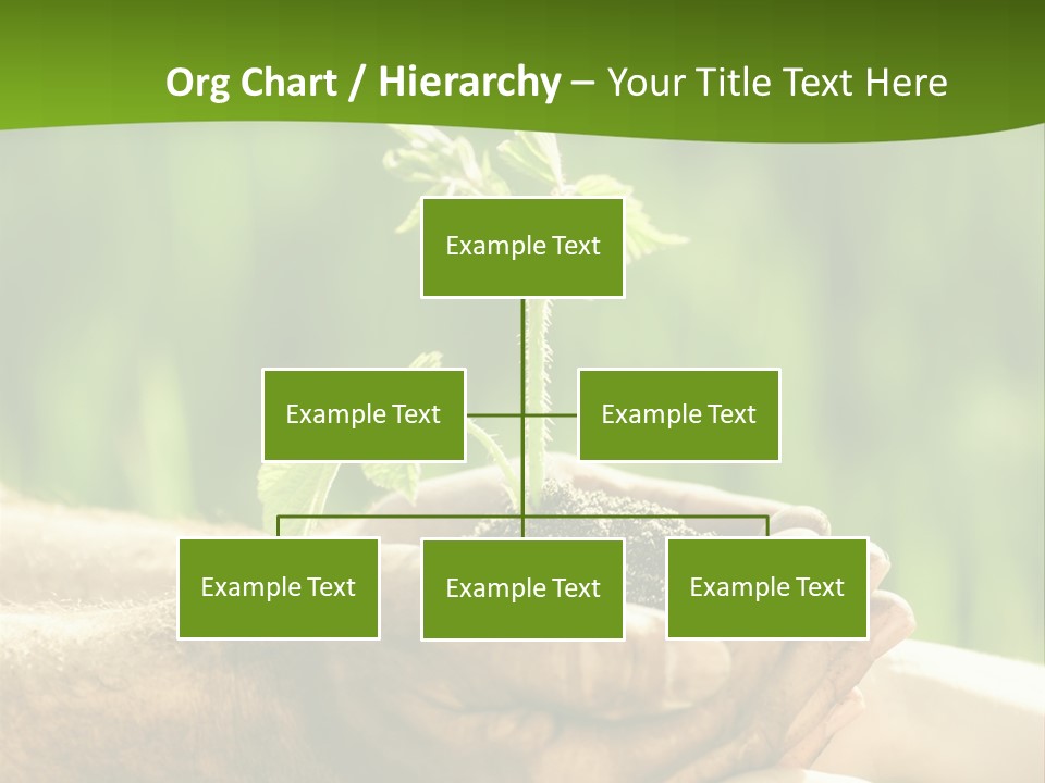 Spring Close Up Blur PowerPoint Template