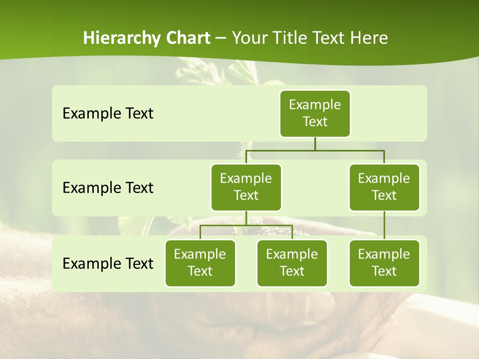 Spring Close Up Blur PowerPoint Template