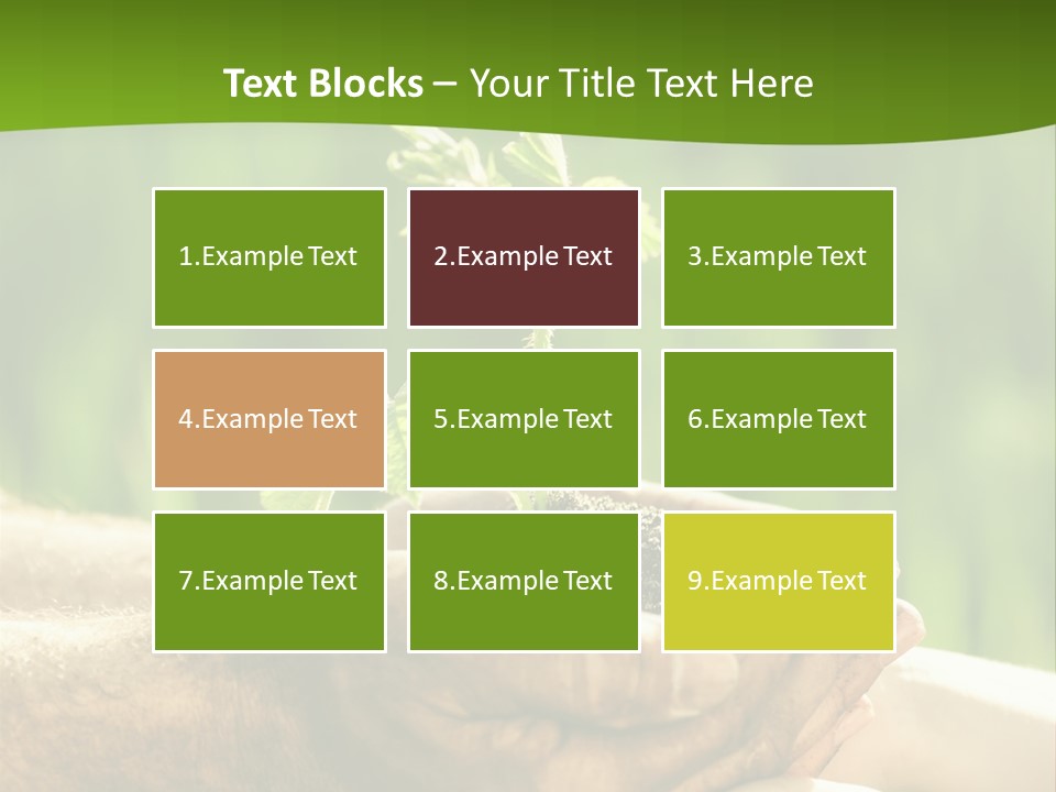 Spring Close Up Blur PowerPoint Template