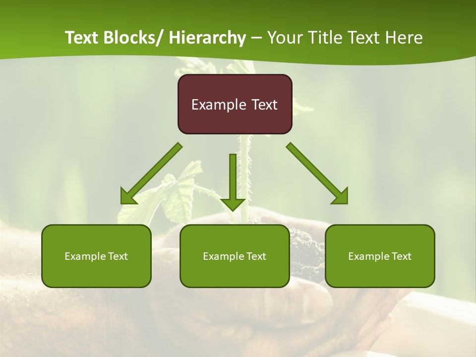 Spring Close Up Blur PowerPoint Template