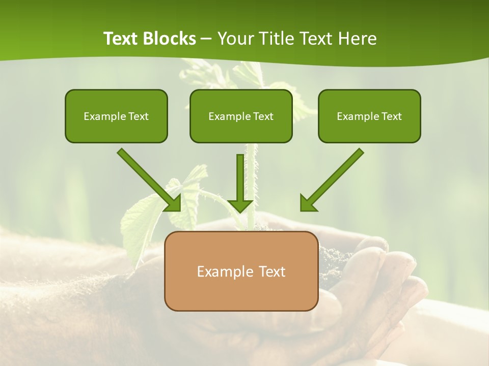 Spring Close Up Blur PowerPoint Template