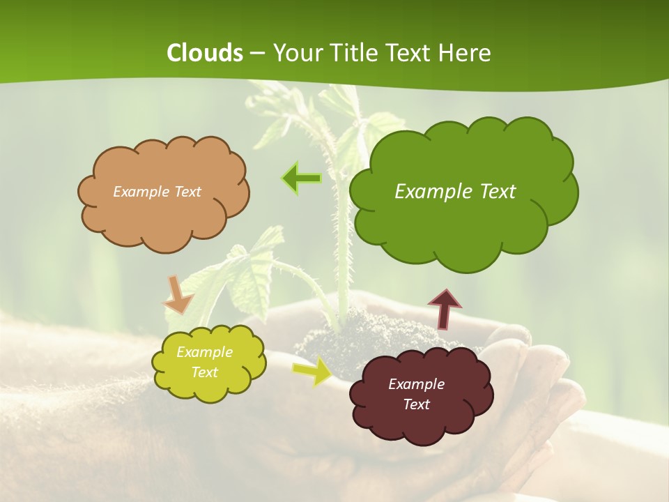 Spring Close Up Blur PowerPoint Template