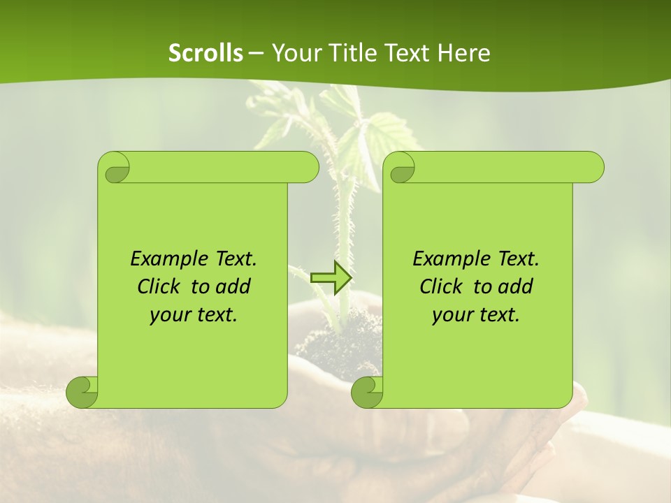 Spring Close Up Blur PowerPoint Template