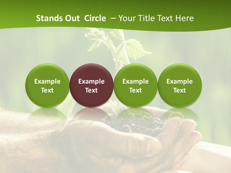 Spring Close Up Blur PowerPoint Template