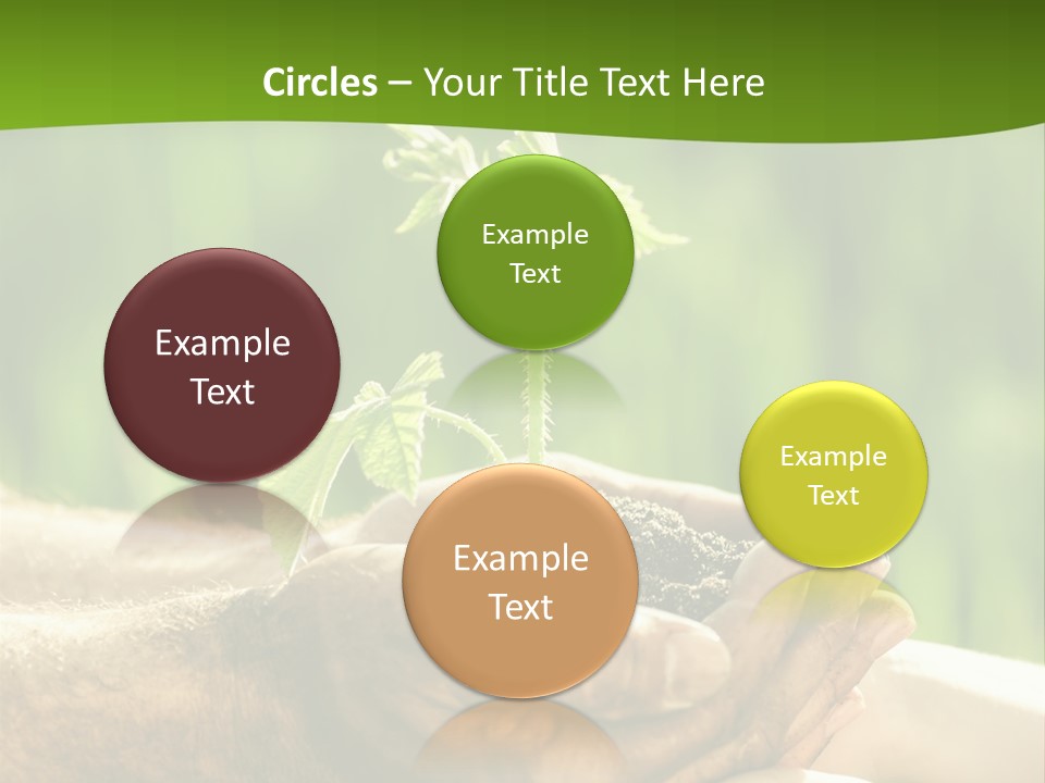 Spring Close Up Blur PowerPoint Template
