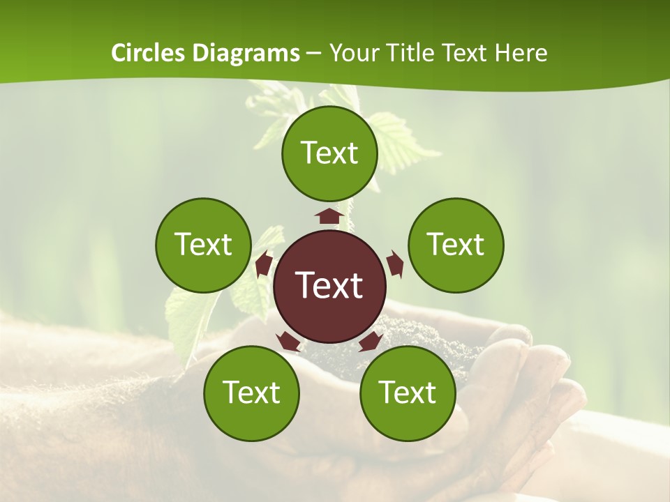 Spring Close Up Blur PowerPoint Template