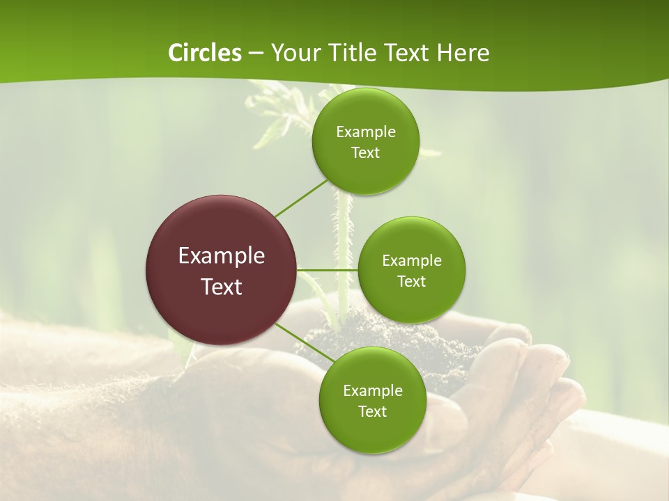 Spring Close Up Blur PowerPoint Template