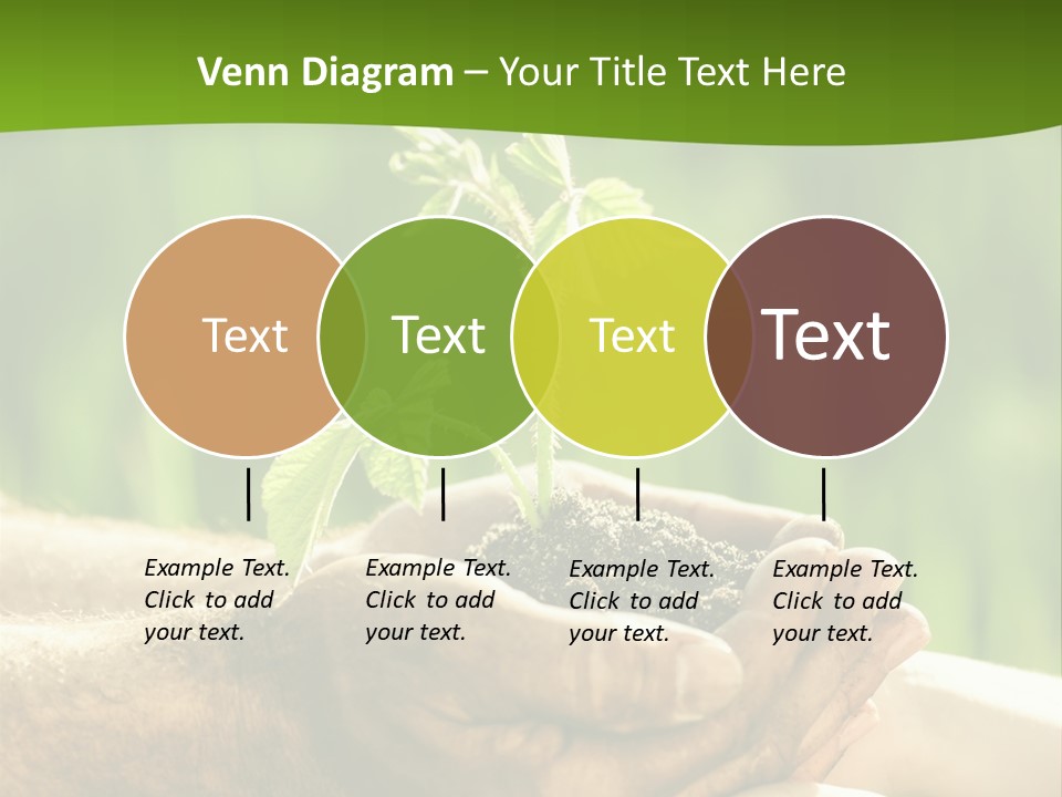 Spring Close Up Blur PowerPoint Template