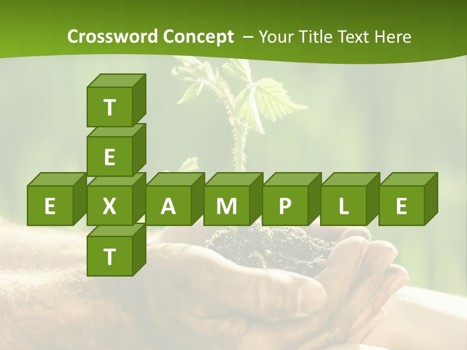 Spring Close Up Blur PowerPoint Template