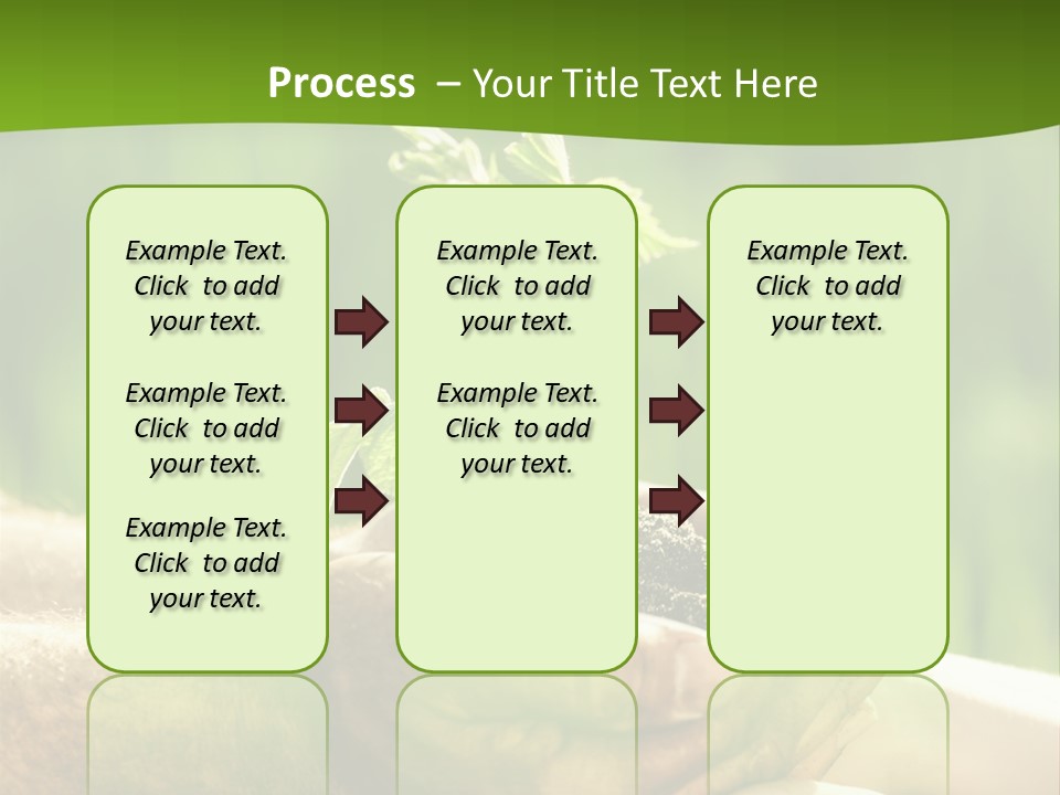 Spring Close Up Blur PowerPoint Template