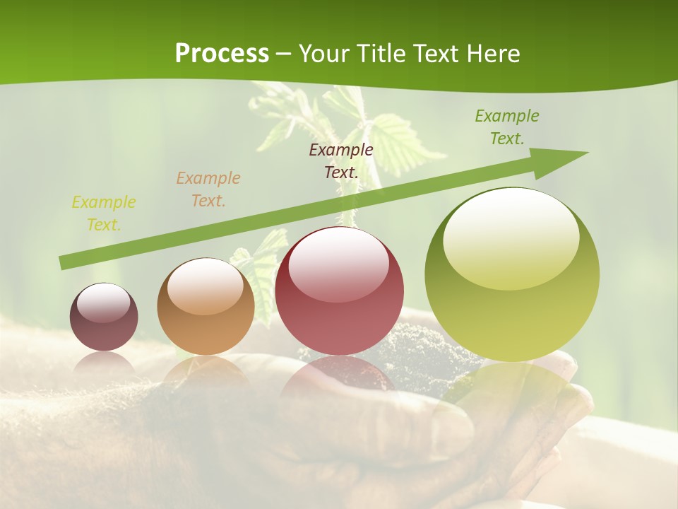 Spring Close Up Blur PowerPoint Template