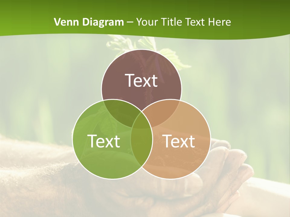 Spring Close Up Blur PowerPoint Template