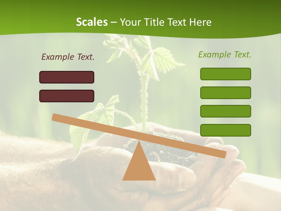 Spring Close Up Blur PowerPoint Template