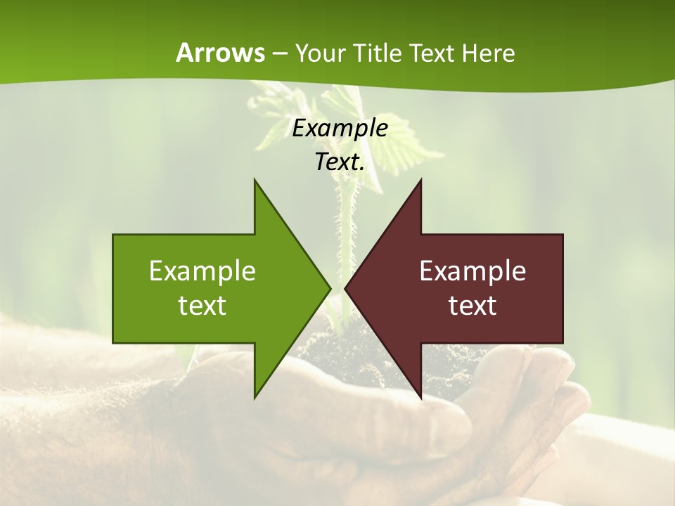 Spring Close Up Blur PowerPoint Template