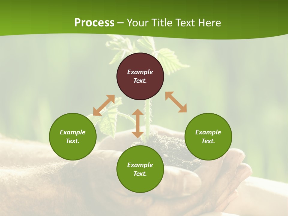 Spring Close Up Blur PowerPoint Template