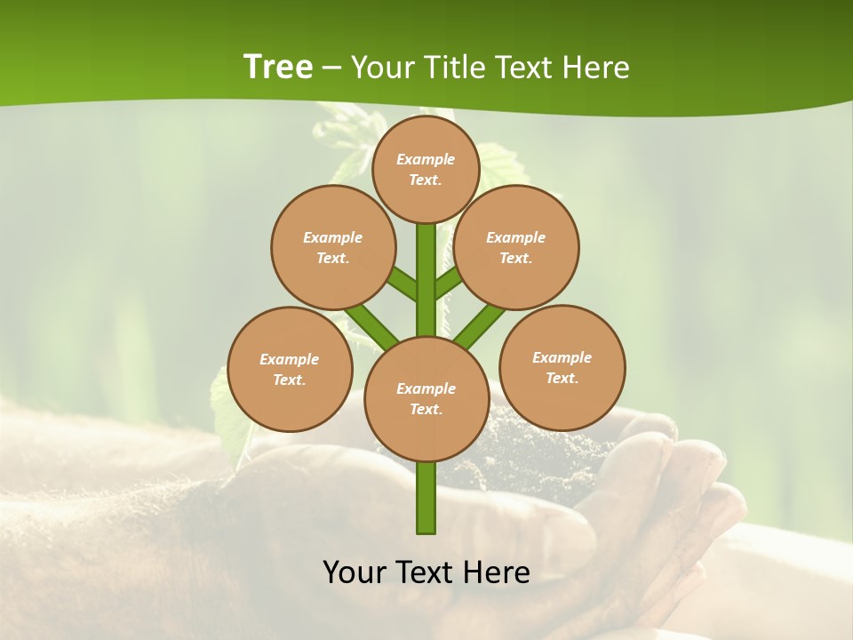 Spring Close Up Blur PowerPoint Template