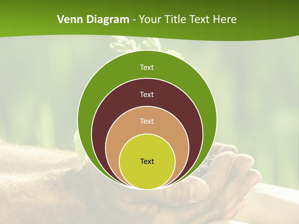 Spring Close Up Blur PowerPoint Template