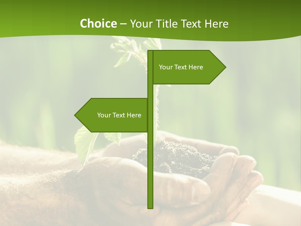 Spring Close Up Blur PowerPoint Template