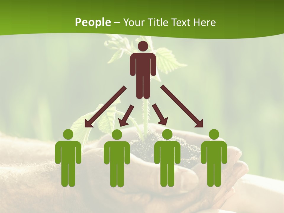 Spring Close Up Blur PowerPoint Template