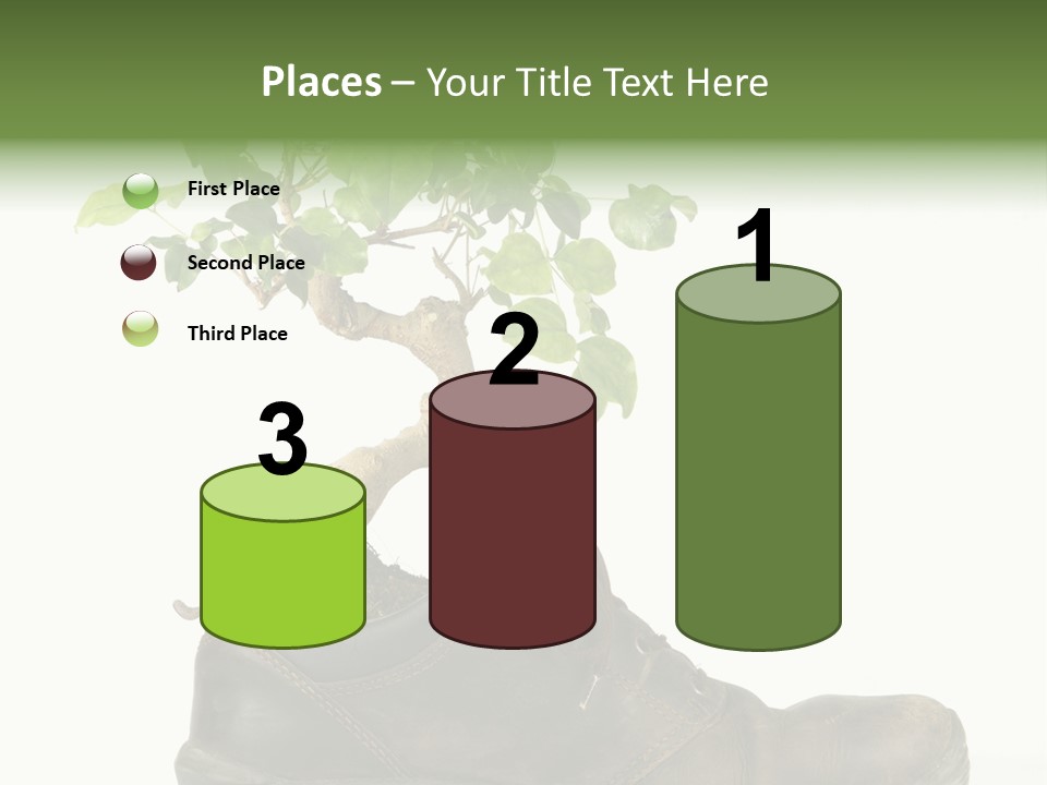 Plant Bonsai Zen PowerPoint Template