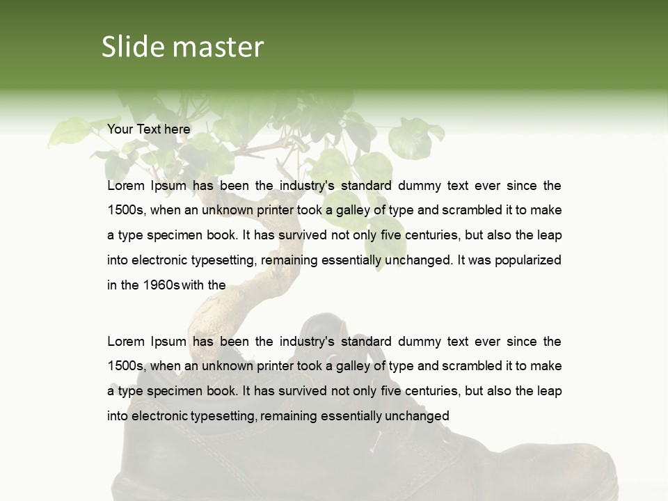 Plant Bonsai Zen PowerPoint Template