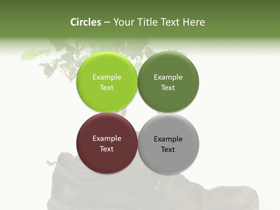 Plant Bonsai Zen PowerPoint Template