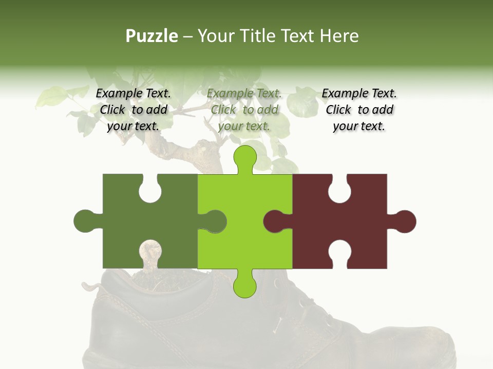 Plant Bonsai Zen PowerPoint Template