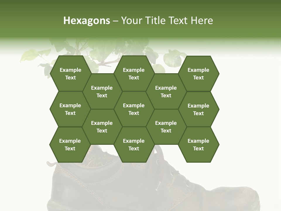 Plant Bonsai Zen PowerPoint Template