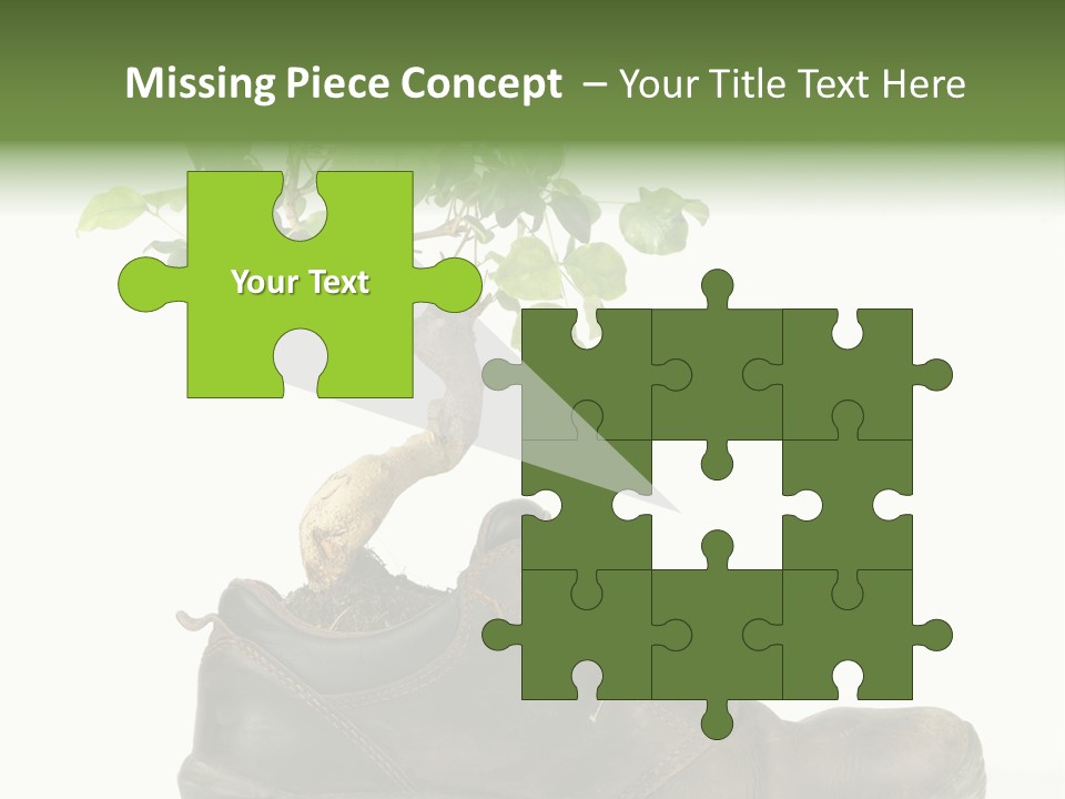 Plant Bonsai Zen PowerPoint Template