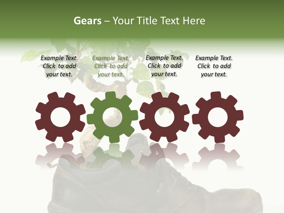 Plant Bonsai Zen PowerPoint Template