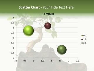 Plant Bonsai Zen PowerPoint Template