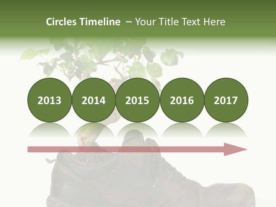 Plant Bonsai Zen PowerPoint Template