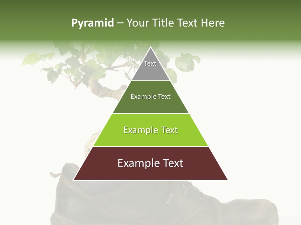 Plant Bonsai Zen PowerPoint Template