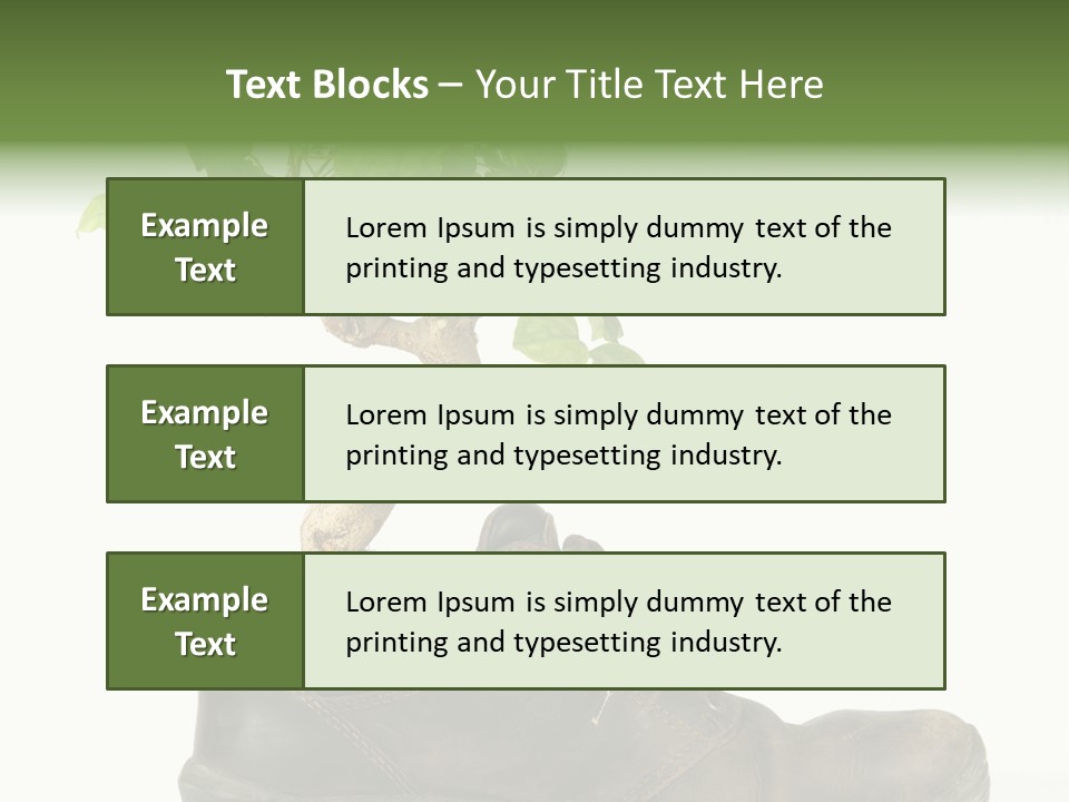 Plant Bonsai Zen PowerPoint Template