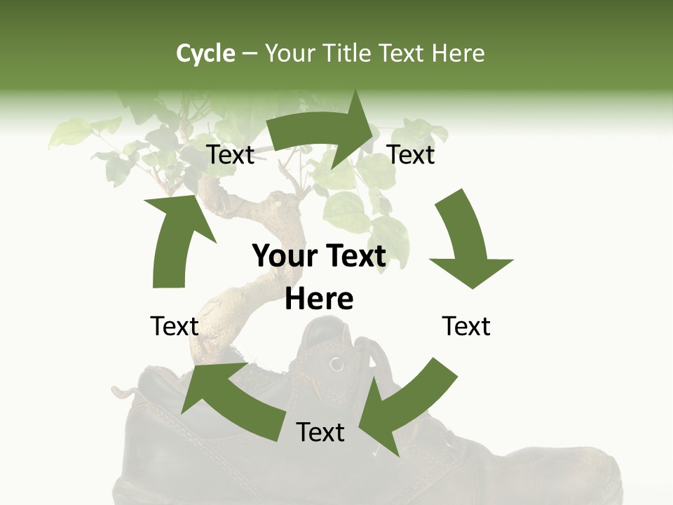 Plant Bonsai Zen PowerPoint Template