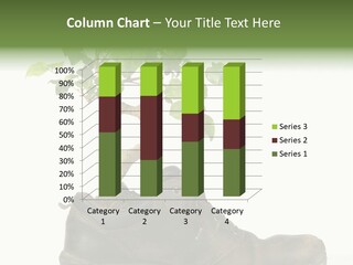 Plant Bonsai Zen PowerPoint Template