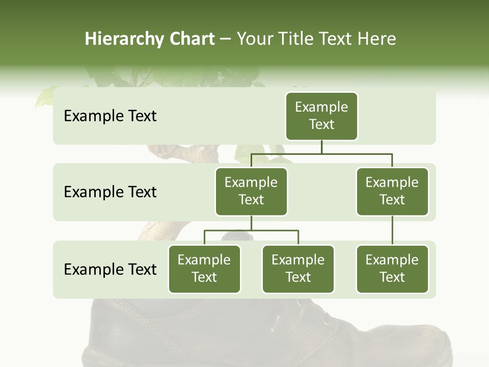 Plant Bonsai Zen PowerPoint Template