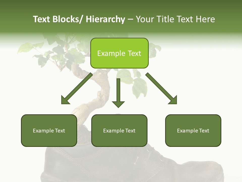 Plant Bonsai Zen PowerPoint Template