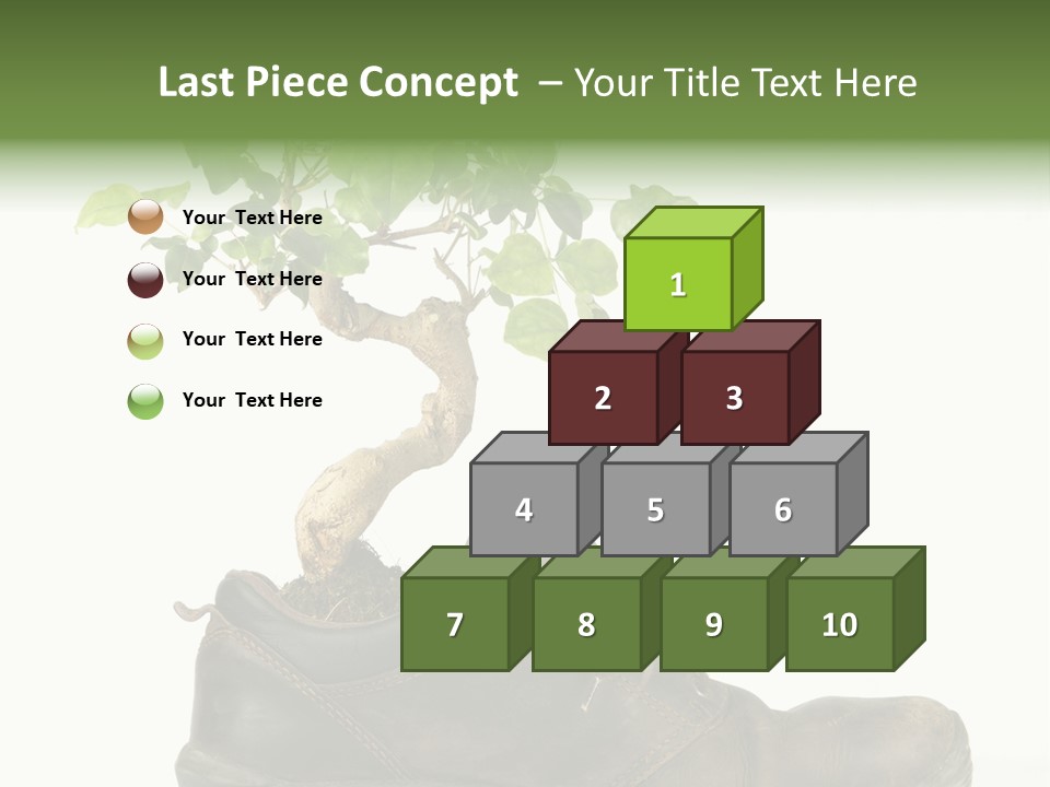 Plant Bonsai Zen PowerPoint Template