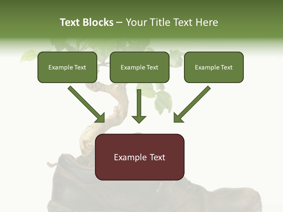 Plant Bonsai Zen PowerPoint Template